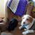 Megan Ziegler Wilbert's profile image
