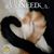 Michelle Musheno-Williams's profile image