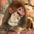 Dwayne Joseph DeFeo's profile image
