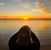 Julianne Filicchia's profile image