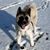 Lynn Bessant's profile image