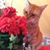Barbara Kroboth Gagney's profile image