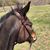 Maria Fallon's profile image