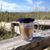 Susan Ann Swain's profile image