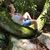 Beth Ervin Bilous's profile image