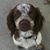 Sharon Jabin's profile image