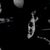 Sandra Walters's profile image