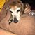 Tina Adams Cerniglia's profile image