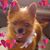 Linda Tolley Morris's profile image