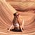 Marie Chalon's profile image