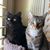 Linda Crawford Heisler's profile image
