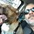 Dave Werthman's profile image