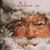Christy Collins Millsap's profile image