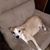 Joni Newsome's profile image