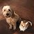 Wendy L Flanagan's profile image