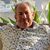 Denis Racine's profile image