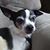 Donna Silva Aponte's profile image