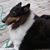 Rhonda Zarling De Ford's profile image