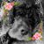 Annie N Kirk's profile image