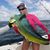 Bob Thom's profile image