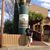 Tracy Taylor's profile image