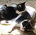 Deena Reuben Bates's profile image