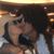 Dana Madich-Meyer's profile image