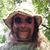 Samuel D. Hooley's profile image
