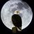 Luis Alberto Soto's profile image