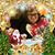 Marjorie Jarvis's profile image