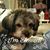 Deborah Mason Branham's profile image
