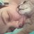 Justin Jayne Wardrip's profile image