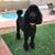 Penny Myers Trier's profile image