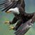 Jose C. Rivas R's profile image