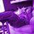 Darcy Safie's profile image