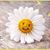 Paulette Runkel's profile image