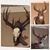 Glenn Howell's profile image