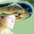 Jeanne Emerick's profile image