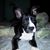 John Kuhns's profile image