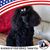 Sharon Eidem's profile image