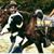 Mcclure Johnny's profile image