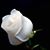 Pamela Reed Nash's profile image