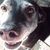 Angela Willis George's profile image