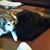Luanne Seward's profile image