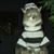 Shelly Hill's profile image