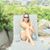 Carmen Serrano's profile image