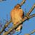 Cathy Whitehead's profile image
