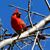 Linda Walck Dorman's profile image