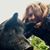 Susannah Greenwood's profile image
