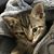 Jenny Granados's profile image